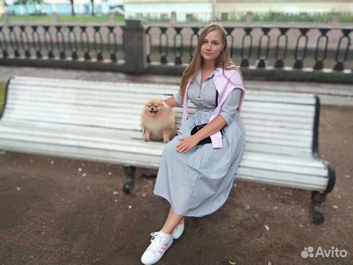 Передержка кошек, собак. Выгул собак