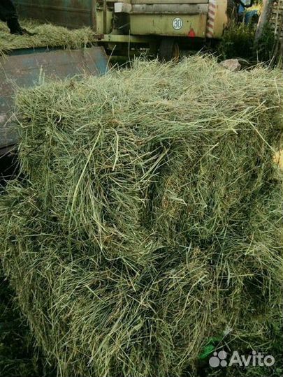 Сено в тюках