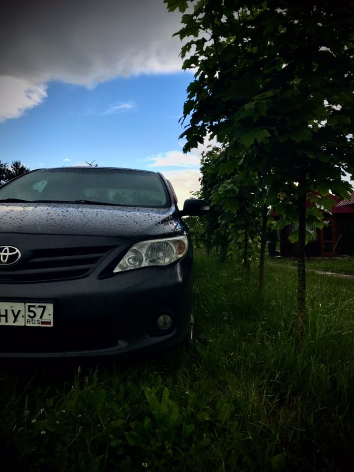 Toyota Corolla: фото владельца