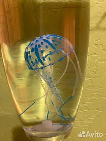 Медуза для аквариума