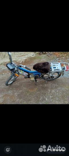 Альфа или дельта