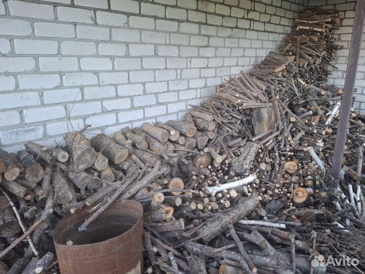 Дрова яблони