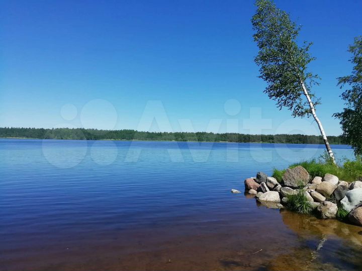 Участок 9 сот. (СНТ, ДНП)