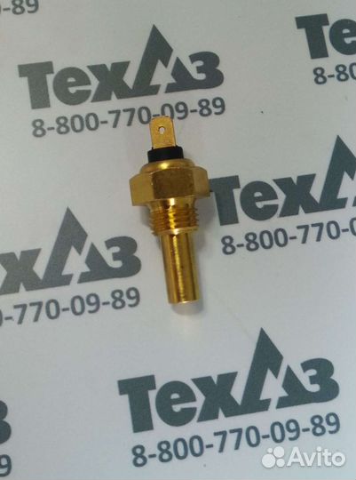 Датчик температуры масла трансмиссии WG1371D/41300