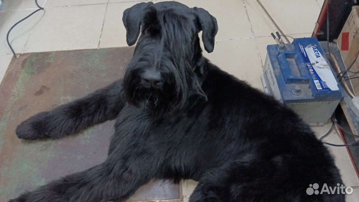 Мальчик ищет девочку