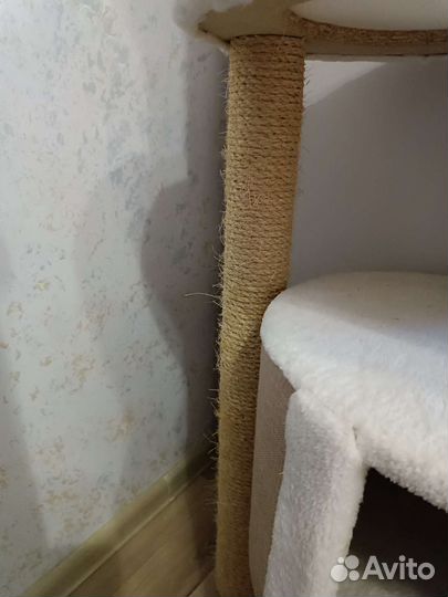 Комплекс -когтеточка