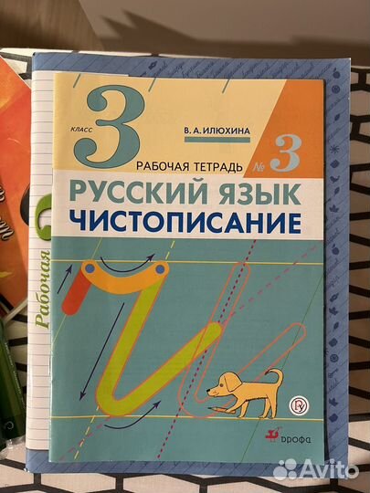 Русский язык рабочая тетрадь Чистописание 3кл