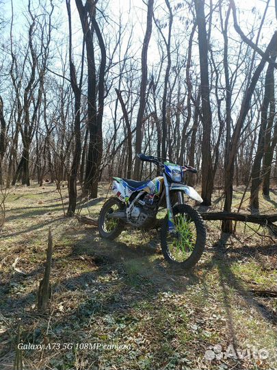 Avantis fx 250