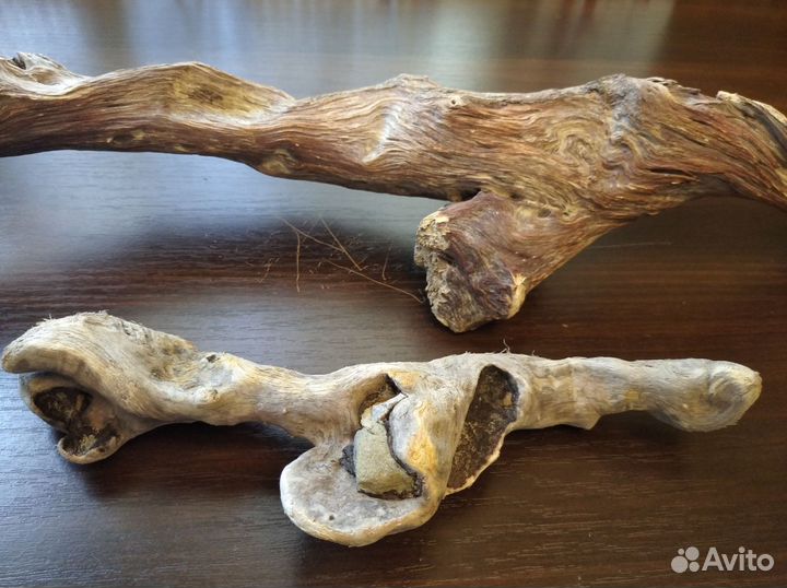 Коряги дрифтвуд