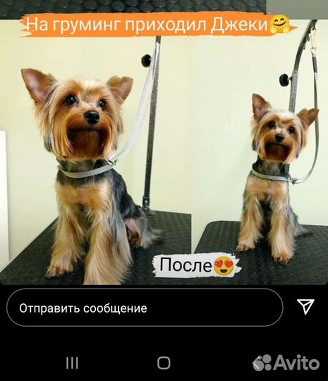 Ищем невесту