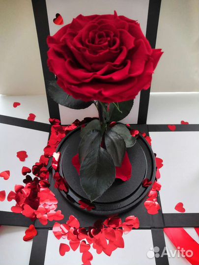 Роза в колбе