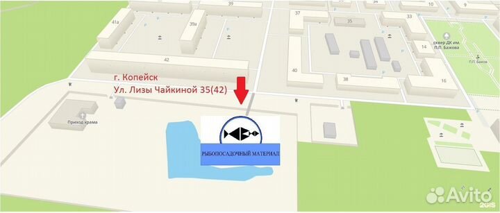 Зарыбление личинка малек карп живая рыба