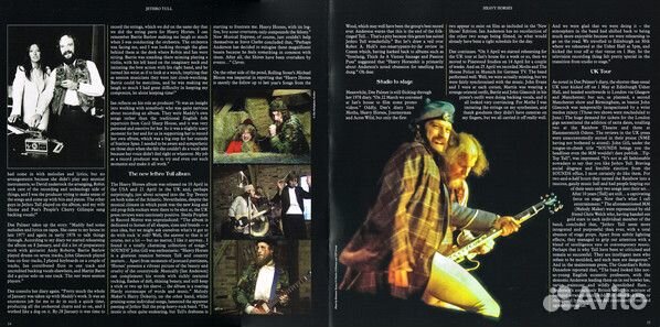 Виниловая пластинка WM Jethro Tull Heavy Horses (S