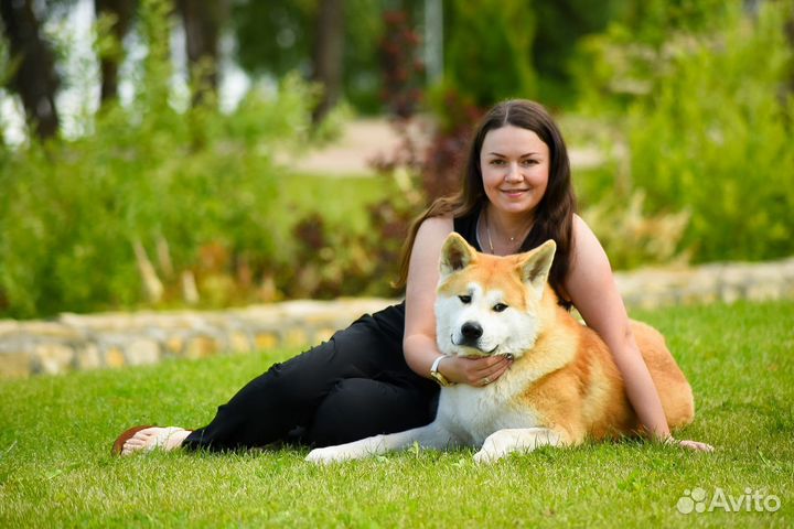 Гостиница для собак. Передержка. Дрессировка