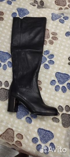 Сапоги женские осенние