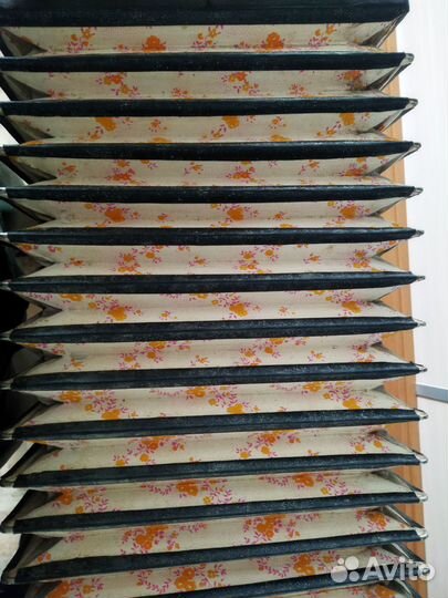 Гармонь Кубань