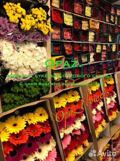 101 роза 70см Цветы и букеты с доставкой