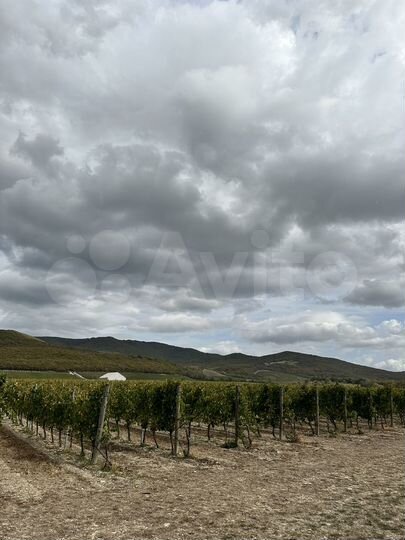 Дом 150 м² на участке 6 сот.