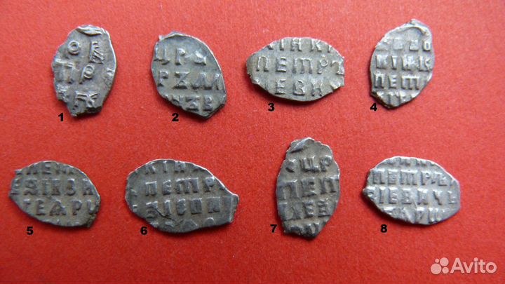 Серебряные чешуйки (деньги и копейки)