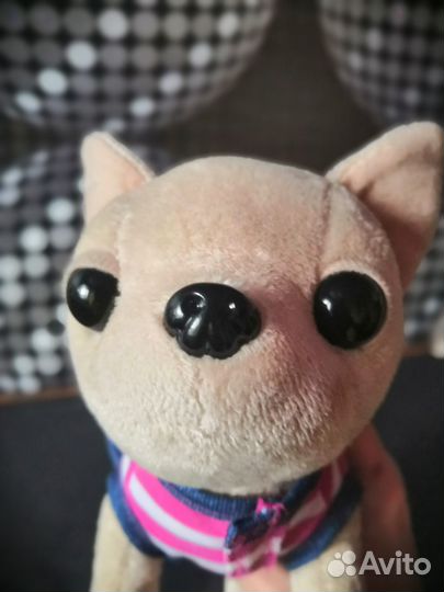 Собачка Chi Chi love