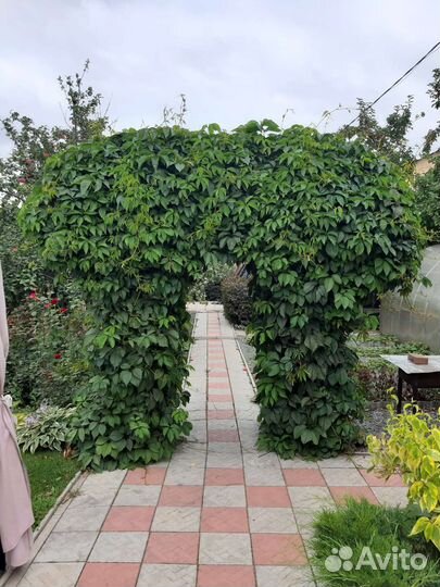 Садовая арка