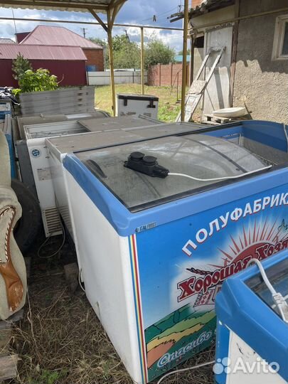 Морозильные лори