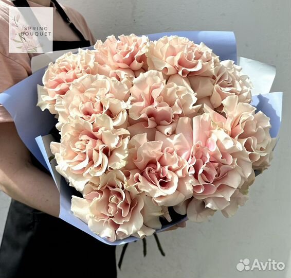 Розы Эквадор кустовые эвкалипт