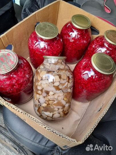 Брусника, черника, малина, рыба