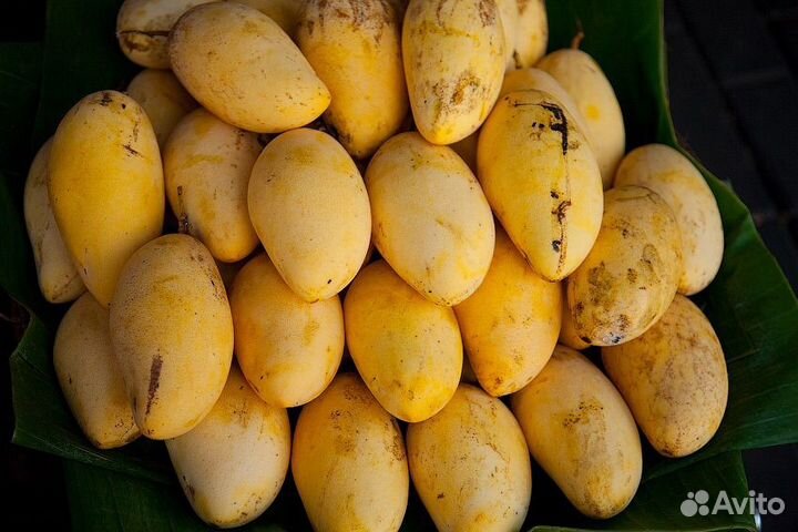 Манго ящик очень сладкий