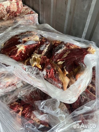 Мякоть говядина для собак