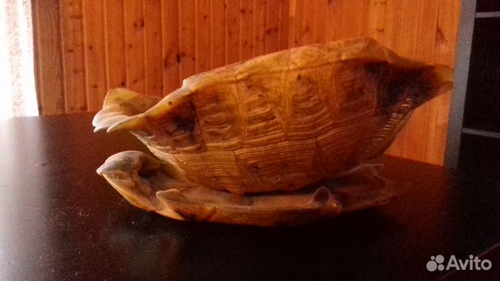 Ваза из панциря черепахи