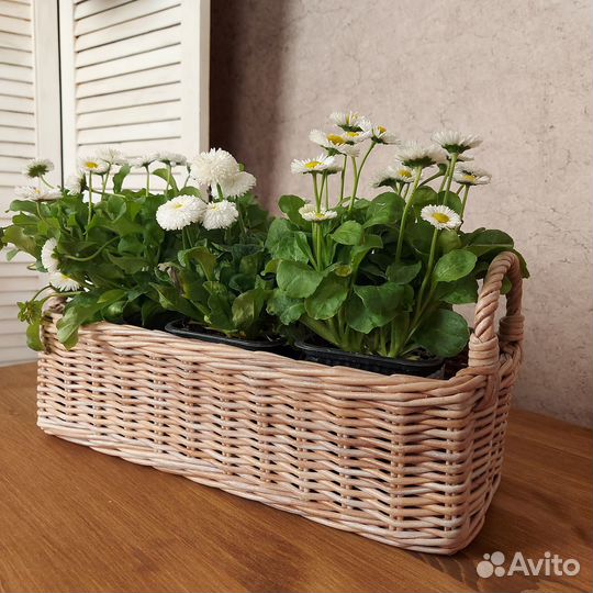 Длинная плетеная корзина с ручками для цветов