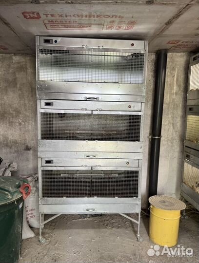 Перепелиная ферма