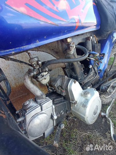 Продам альфу