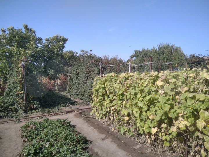 Участок 8 сот. (СНТ, ДНП)