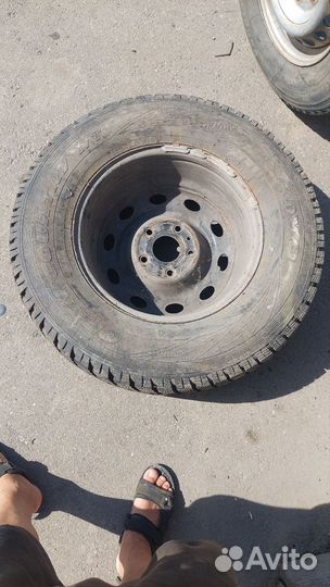 Maxxis Premitra HP5 225/55 R17