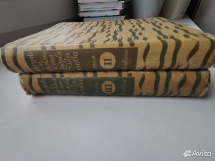 Жизнь и приключения Андрея Болотова 1931г