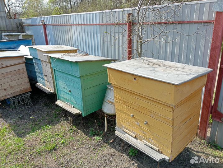 Улей для пчел бу