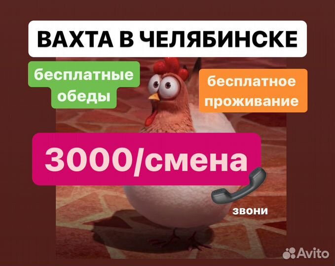 Вахта мойщик на Птицефабрике