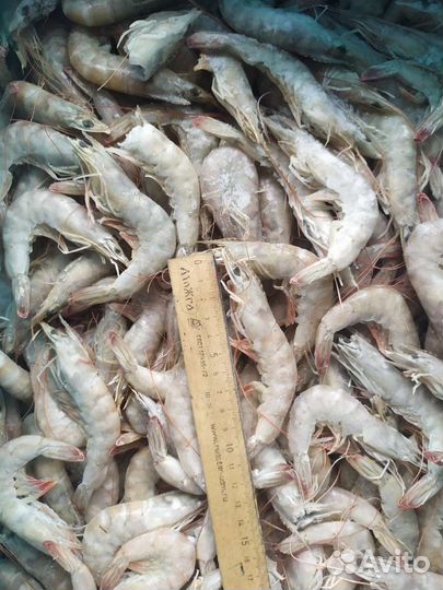 Морепродукты