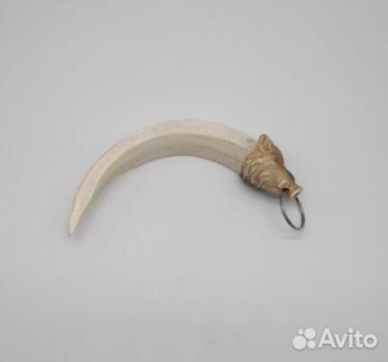 Клык кабана с головой из рога лося (крупный)