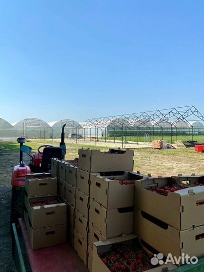 Тепличный комплекс