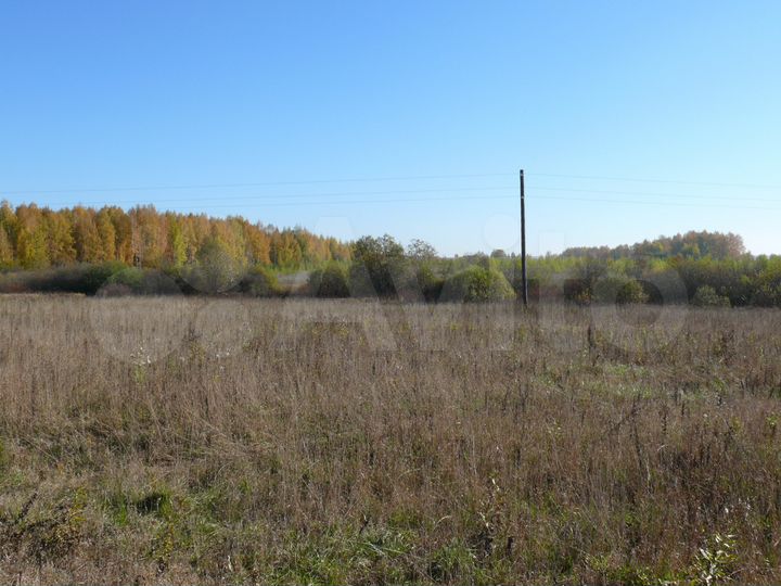 Участок 6 га (СНТ, ДНП)