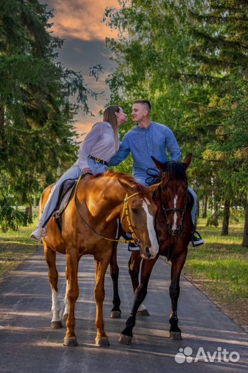 Конные прогулки