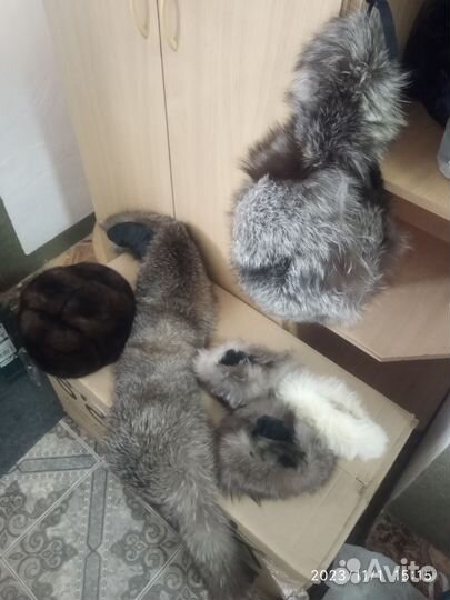 Песцовый воротник