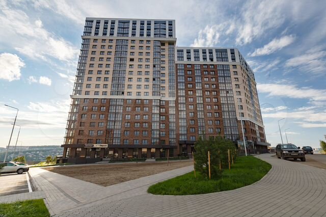 Иркутск стрижи фото
