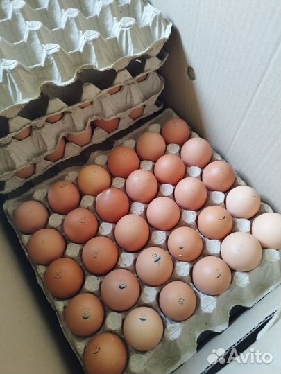 Яйцо Оптом Яйца Куриные Св,С0,С1,С2, Деревенское