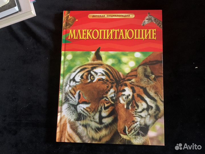 Детская энциклопедия млекопитающие