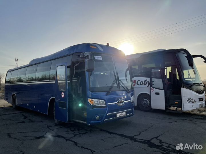 Водитель автобуса категории Д
