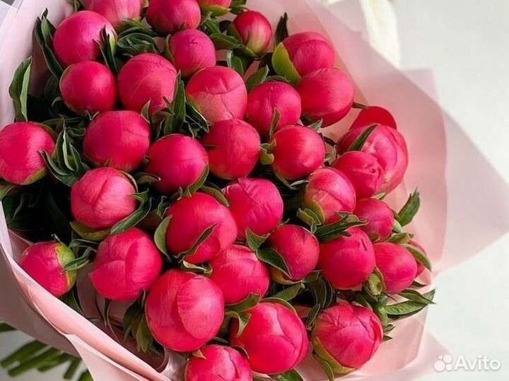 Живые цветы букеты пионы, букет цветов,доставка
